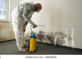 Best Mold Damage Restoration  in USA